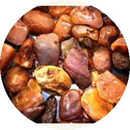 العنبر الأسود