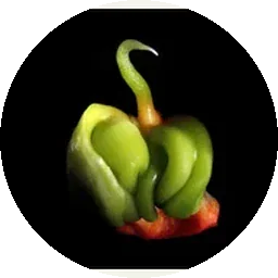 الفلفل