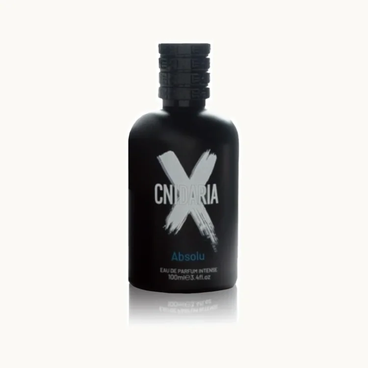 Cnidaria X Absolu